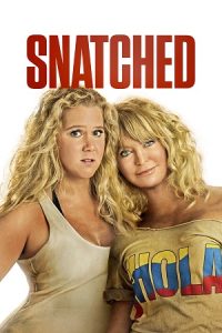 Download Snatched (2017) Dual Audio {Hindi-English} BluRay 480p [300MB] | 720p [950MB]