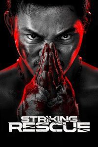 Download Striking Rescue (2024) BluRay Dual Audio {Hindi-Chinese} 480p [400MB] | 720p [1.1GB] | 1080p [2.1GB]