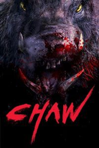 Download Chawz (2009) Uncut-BluRay Dual Audio {Hindi-Korean} 480p [500MB] | 720p [1.2GB] | 1080p [2.1GB]