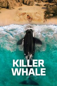 Download Killer Whale (2026) WEB-DL {English With Subtitles} Full Movie 480p [250MB] | 720p [700MB] | 1080p [1.7GB]