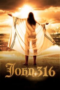Download John, 316 (2021) Dual Audio {Hindi-English} WEB-DL 480p [350MB] | 720p [950MB] | 1080p [2.1GB]